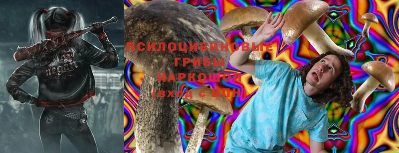 Галлюциногенные грибы Magic Shrooms  Киренск 